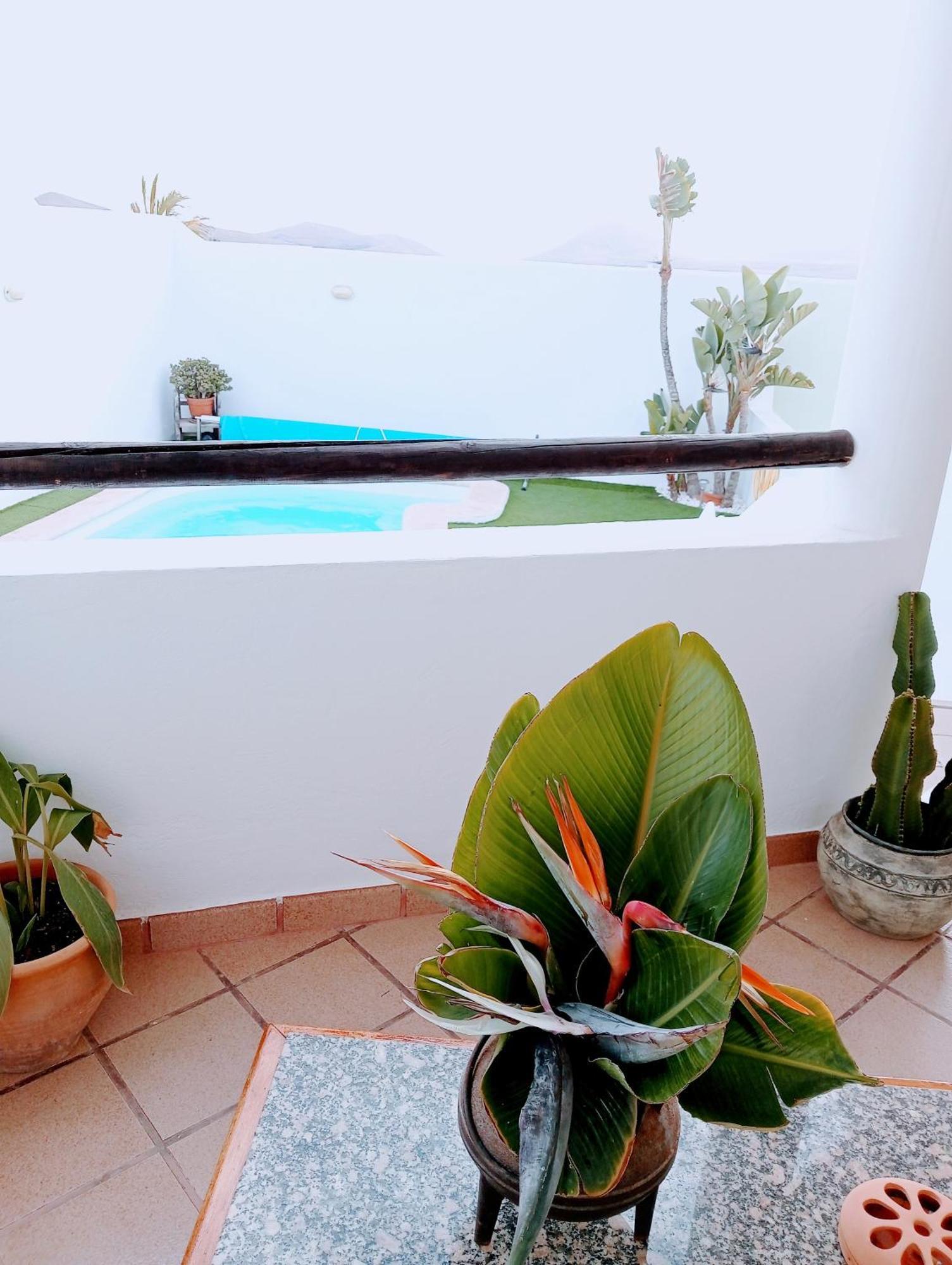 Casa Strelitzia Villa Nazaret Ngoại thất bức ảnh