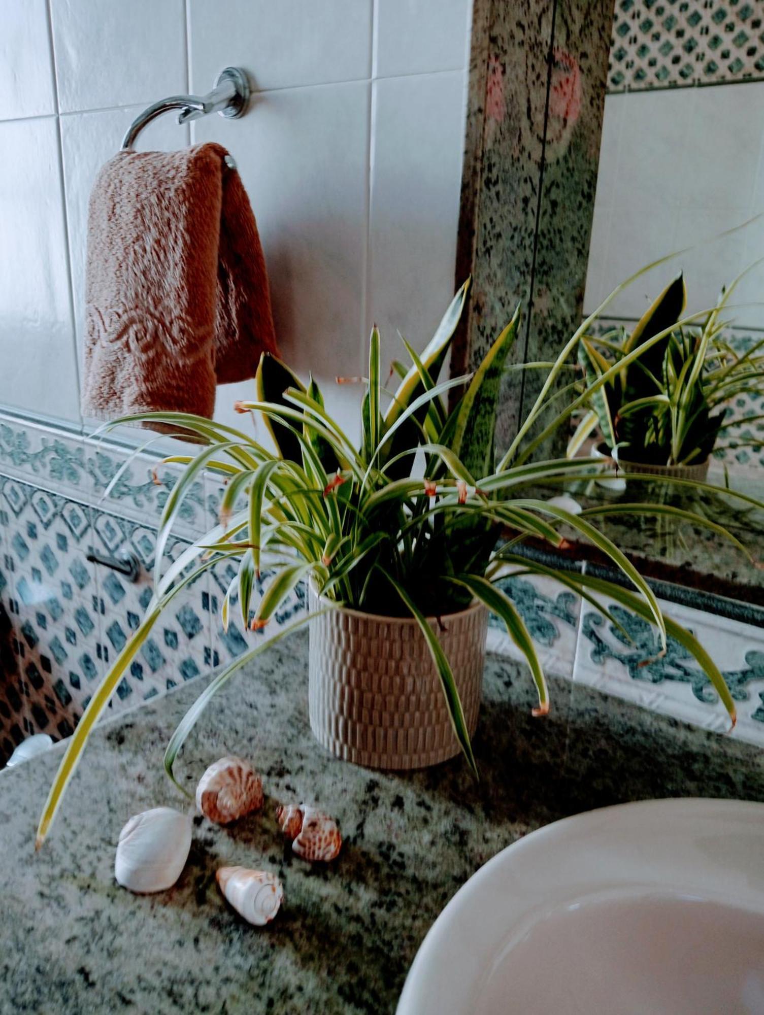 Casa Strelitzia Villa Nazaret Ngoại thất bức ảnh