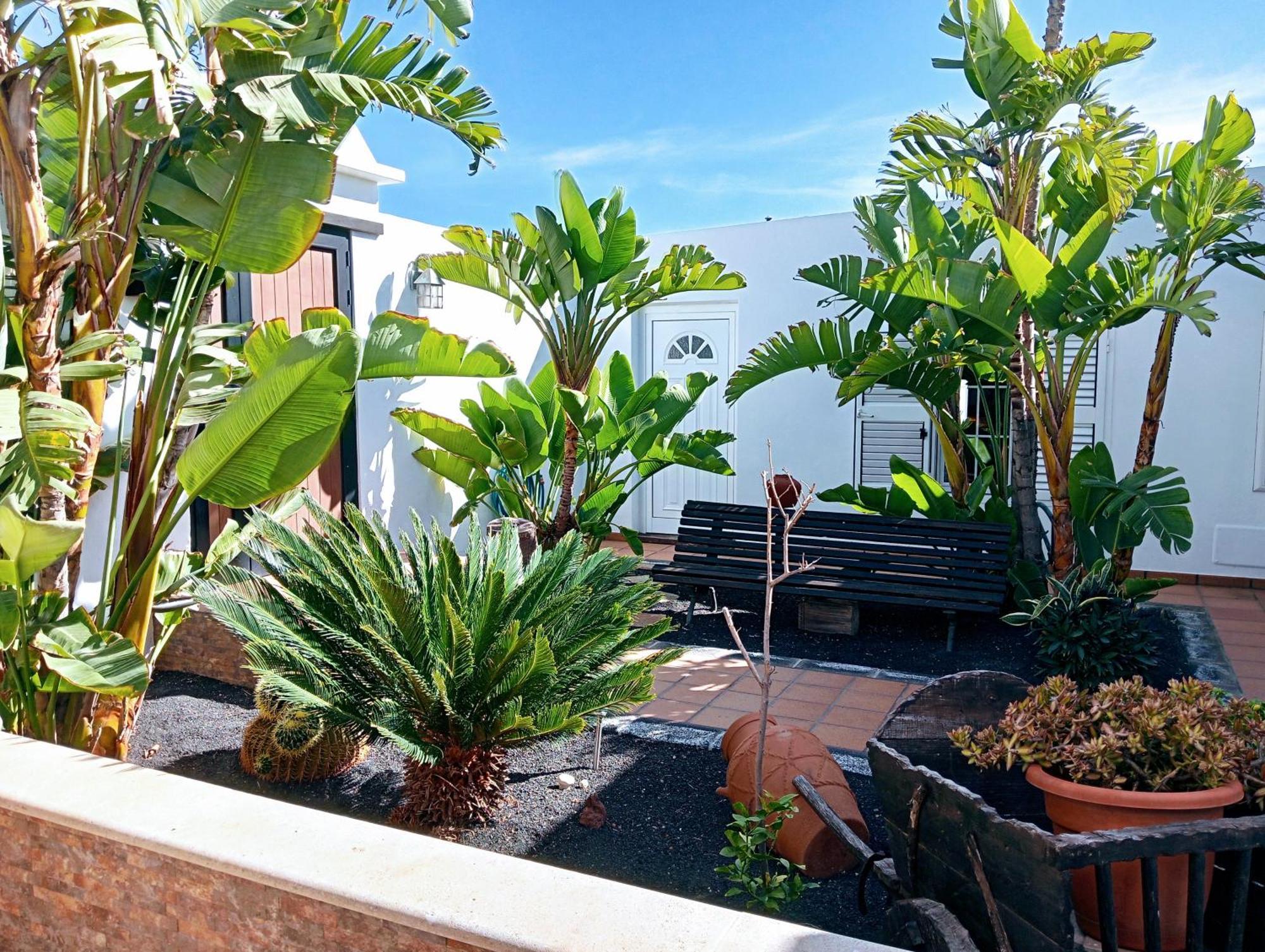 Casa Strelitzia Villa Nazaret Ngoại thất bức ảnh